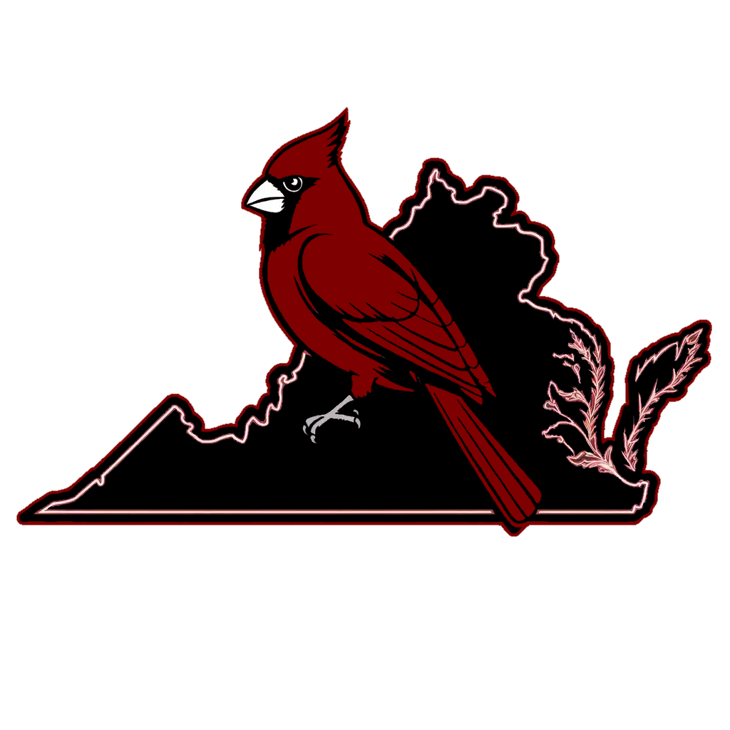 Virginia State Roleplay🐦 logo