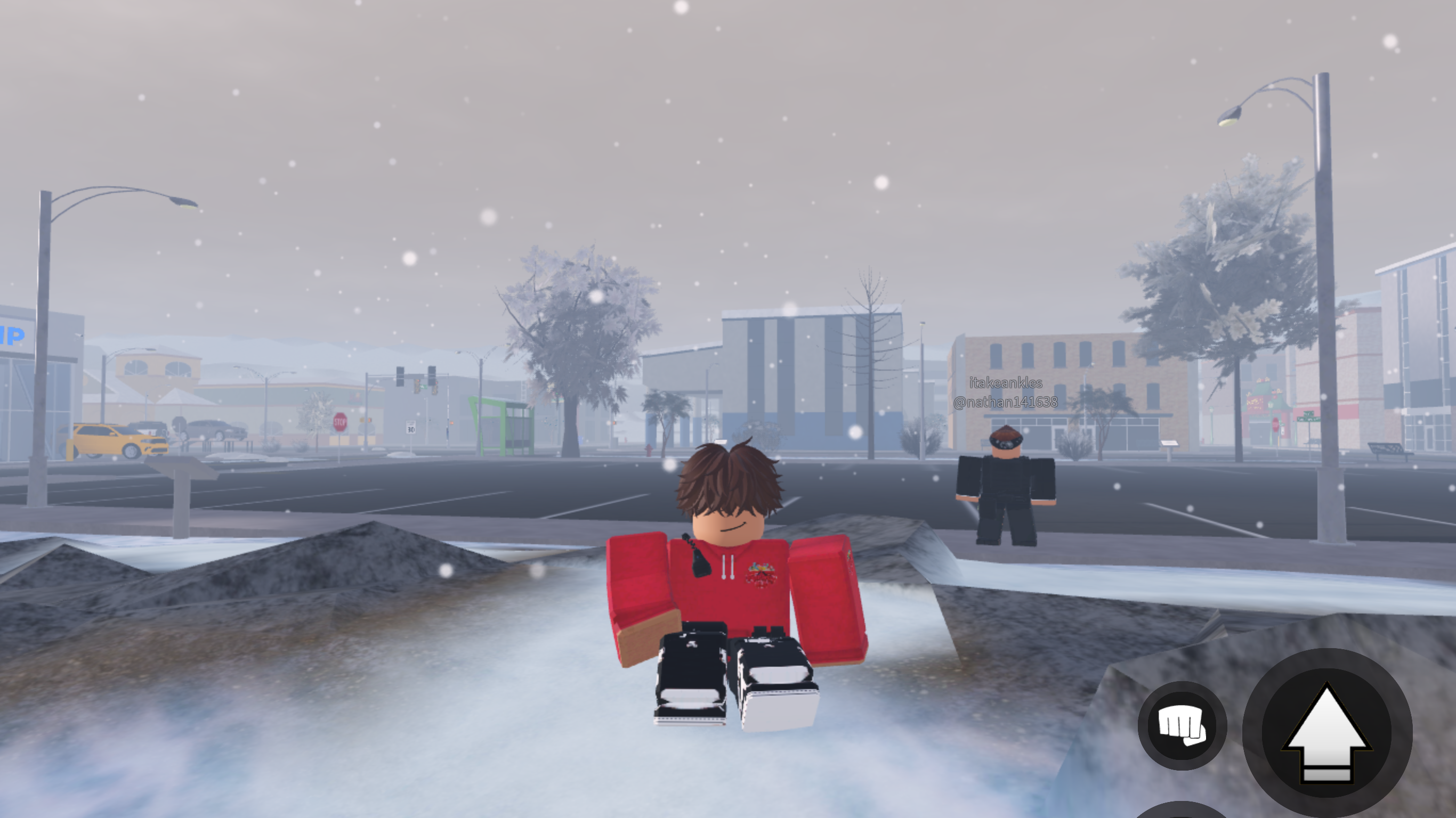 Border RP | Professional | Fun | Hire Free
