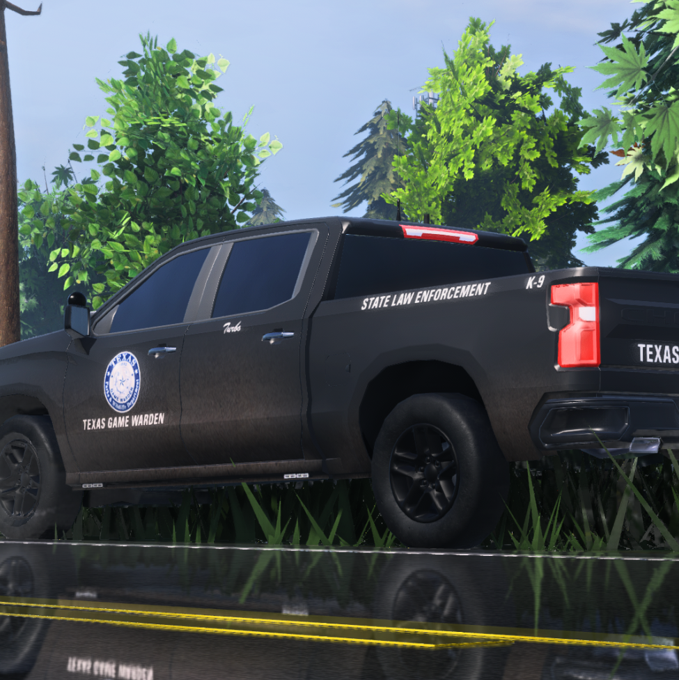 Texas State Roleplay Melony Server. logo